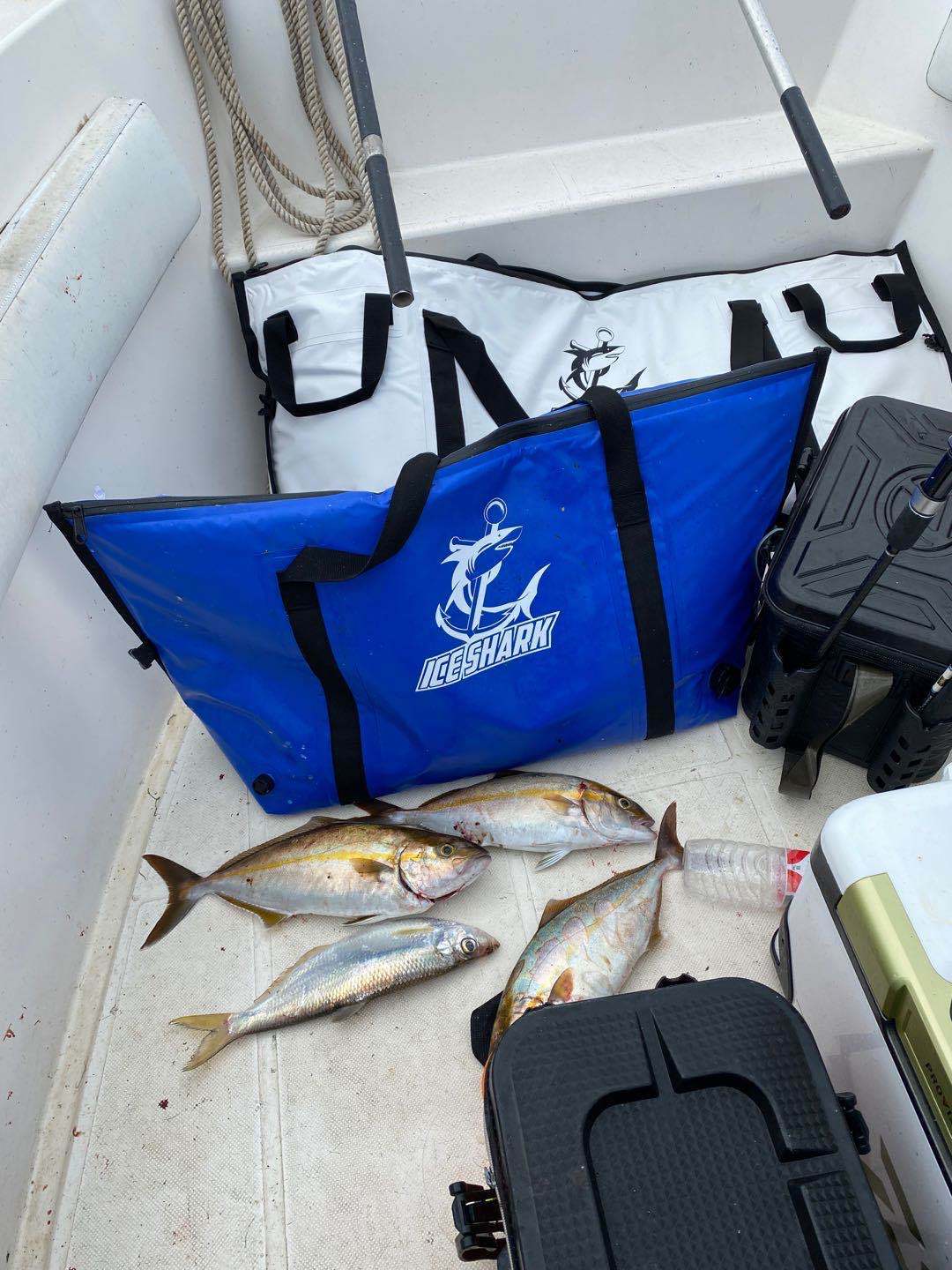 Waterproof and fresh bag for sea fishing