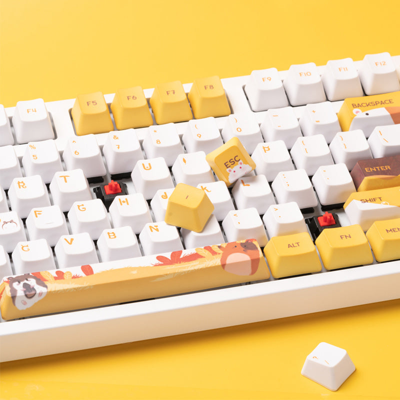 Mechanical Keyboard Cherry Keycaps