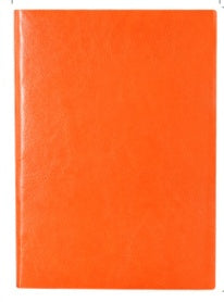 leather notebook diary