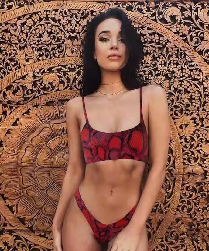 leopard print bikini