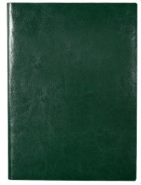 leather notebook diary