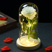 Lampe mit Glasschirm „Rosé“