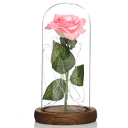 Lampe mit Glasschirm „Rosé“