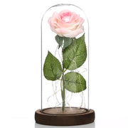 Lampe mit Glasschirm „Rosé“