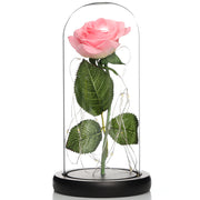 Lampe mit Glasschirm „Rosé“