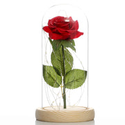 Lampe mit Glasschirm „Rosé“