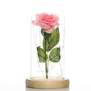 Lampe mit Glasschirm „Rosé“