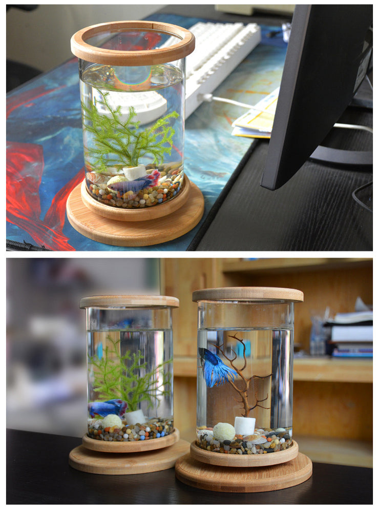 Kleines Büro-Aquarium aus Glas mit Bambussockel, Mini-Aquarium, Dekoration, Fischglas