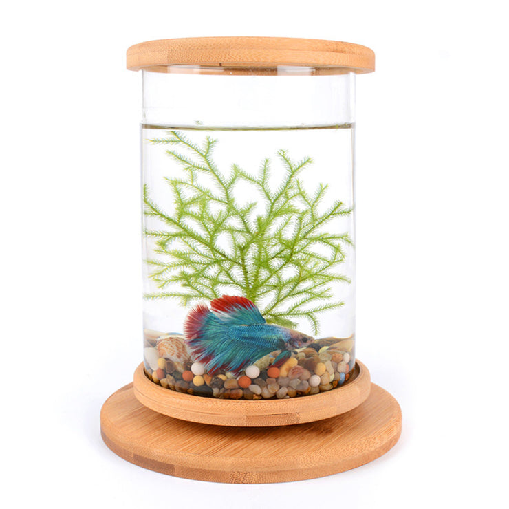 Kleines Büro-Aquarium aus Glas mit Bambussockel, Mini-Aquarium, Dekoration, Fischglas