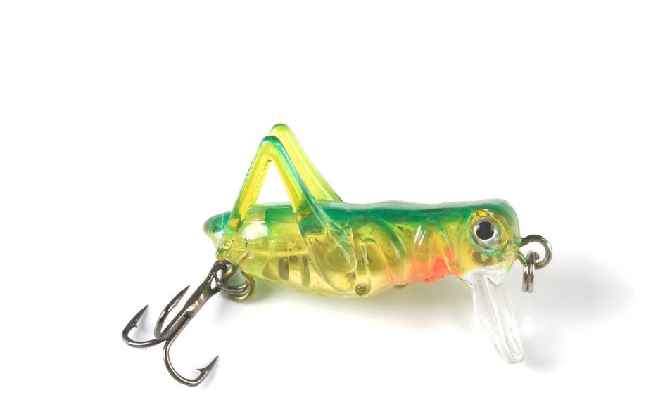 fishing bait grasshopper