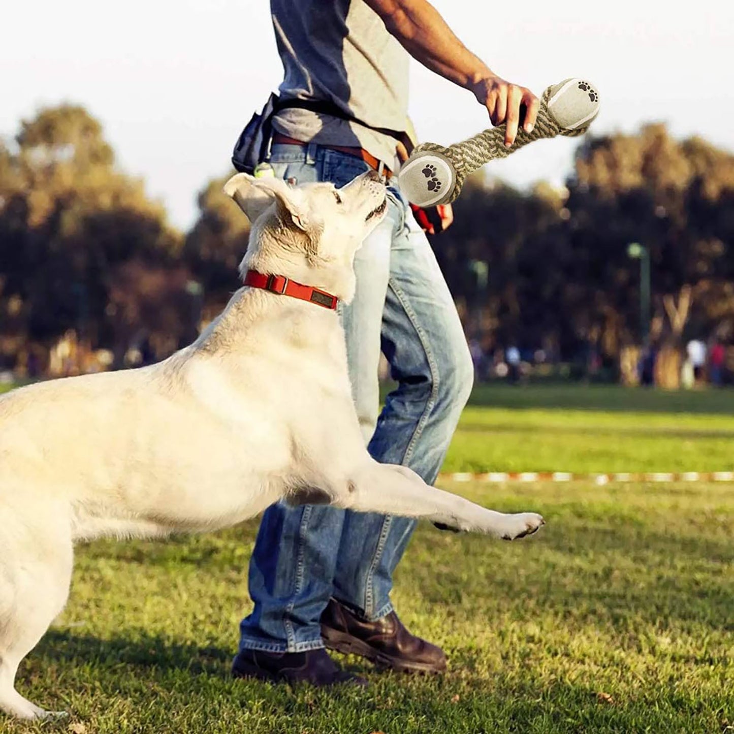 Spielzeug für große und kleine Hunde, interaktives Baumwollseil-Spielzeug