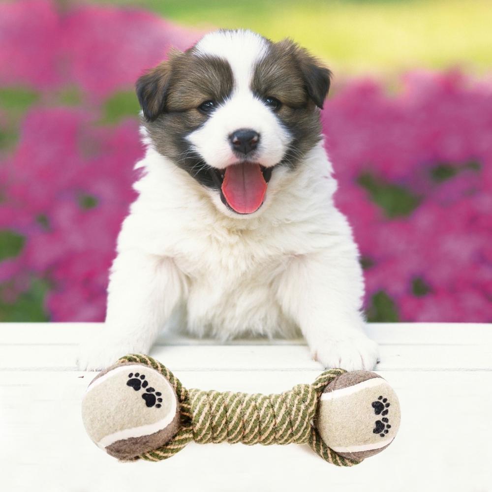 Toys for large and small dogs, interactive cotton rope toys