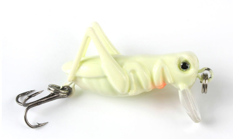 fishing bait grasshopper