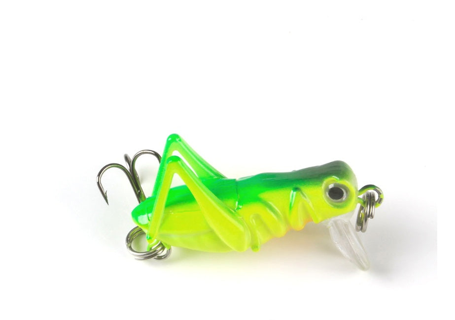 fishing bait grasshopper