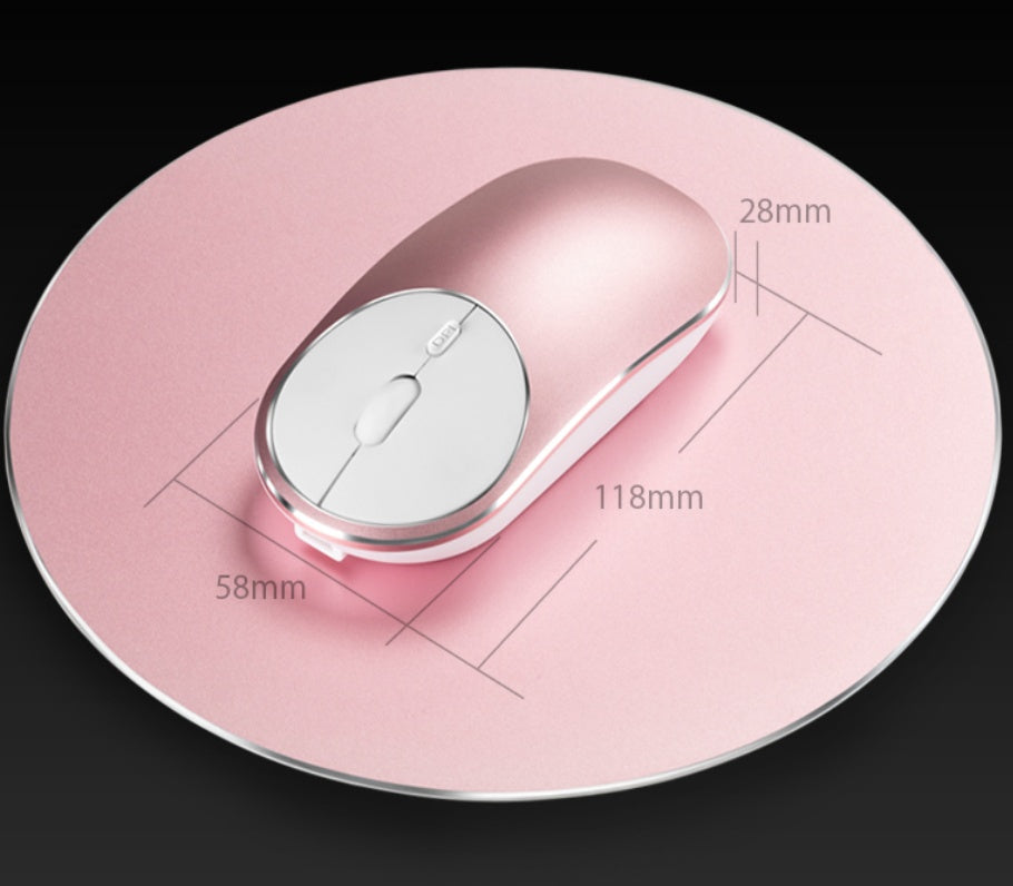 aluminum mouse