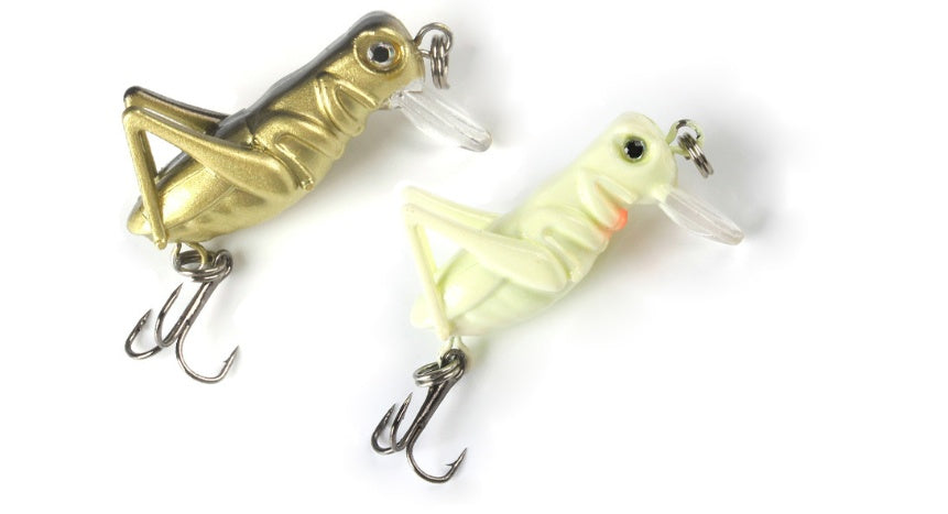 fishing bait grasshopper