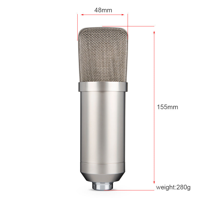 Condenser Microphone Large-diaphragm condenser microphone