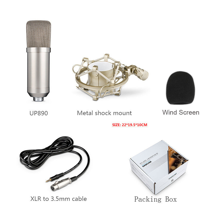 Condenser Microphone Large-diaphragm condenser microphone