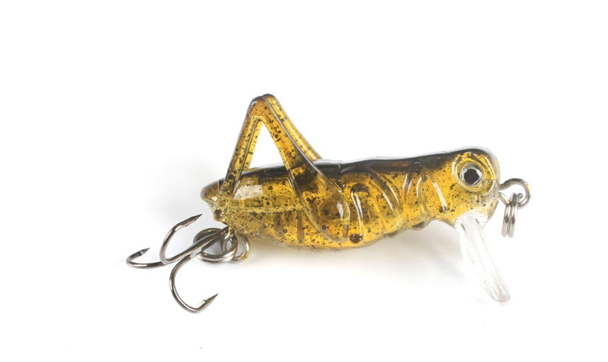 fishing bait grasshopper