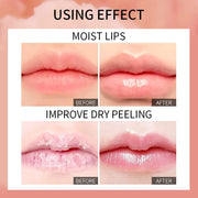 Lippenpflege-Ampulle, nährende, feuchtigkeitsspendende, Lipgloss-Make-up mit Fruchtgeschmack