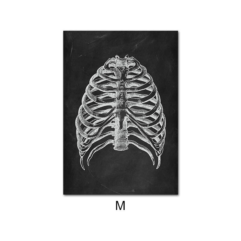 Canvas print of human anatomy skeleton organ system