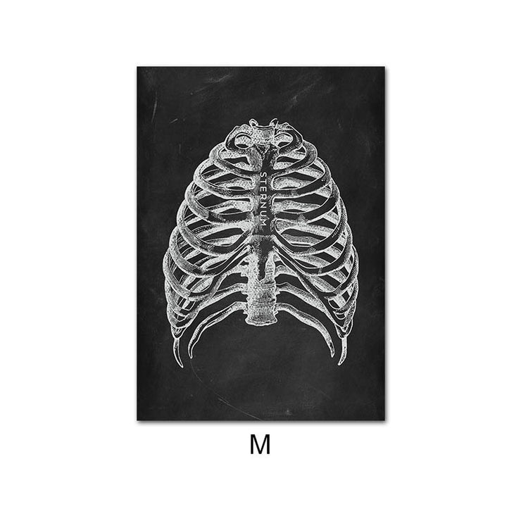 Leinwandbild des menschlichen Anatomie-Skelett-Organsystems