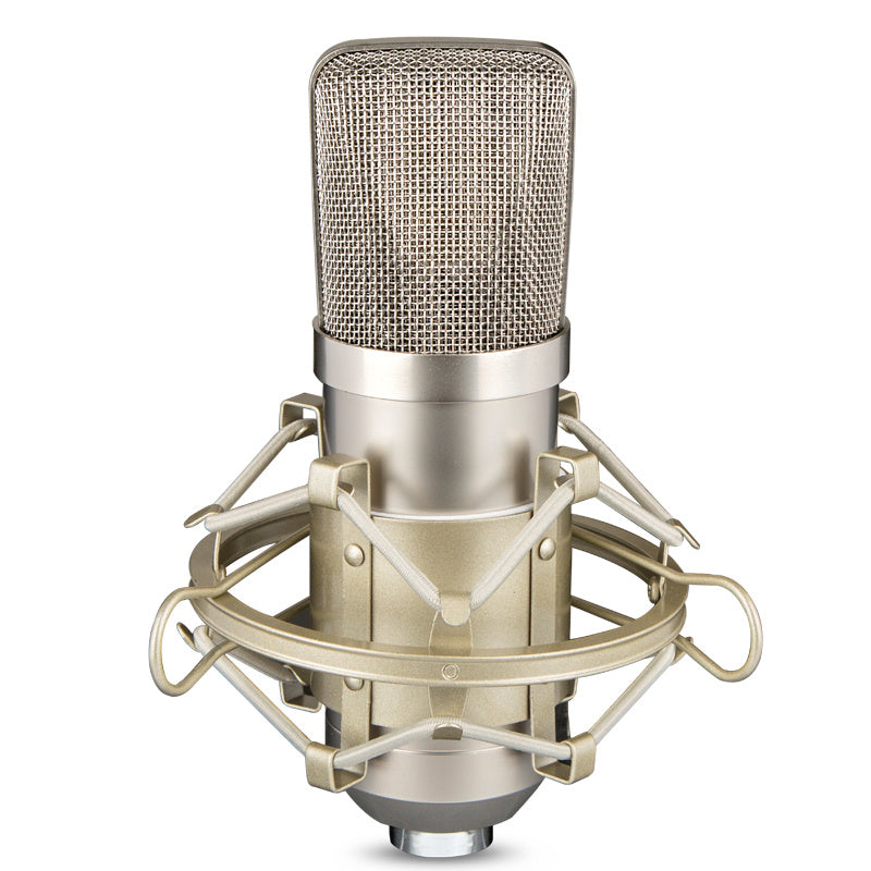 Condenser Microphone Large-diaphragm condenser microphone