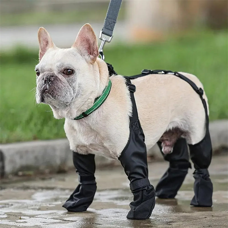 Waterproof Dog Shoes, Adjustable Dog Boots, Breathable