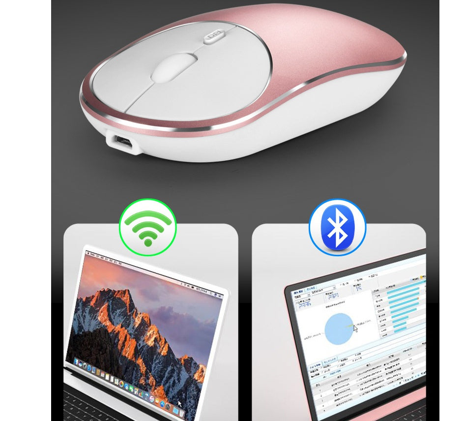 aluminum mouse