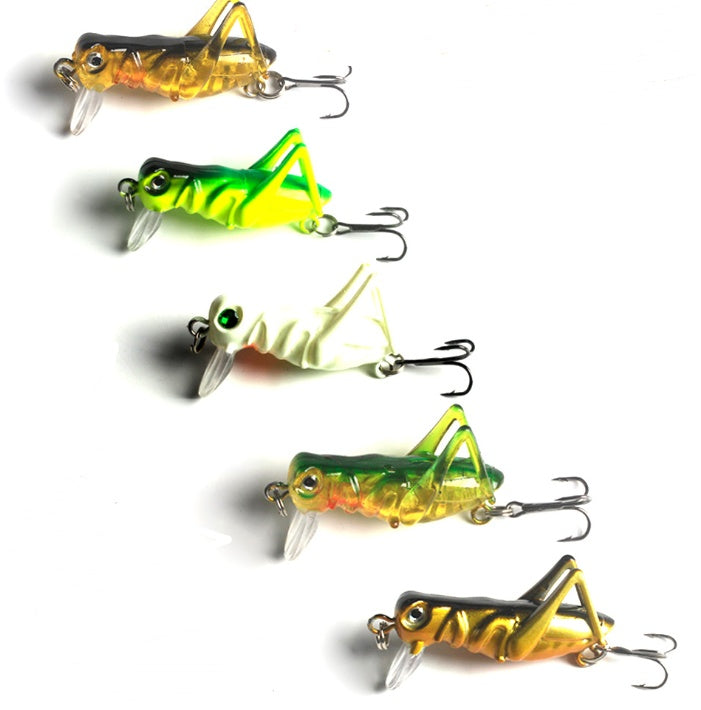 fishing bait grasshopper