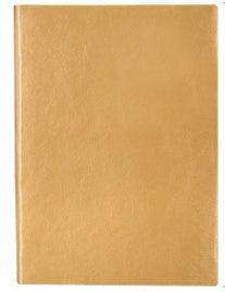 leather notebook diary