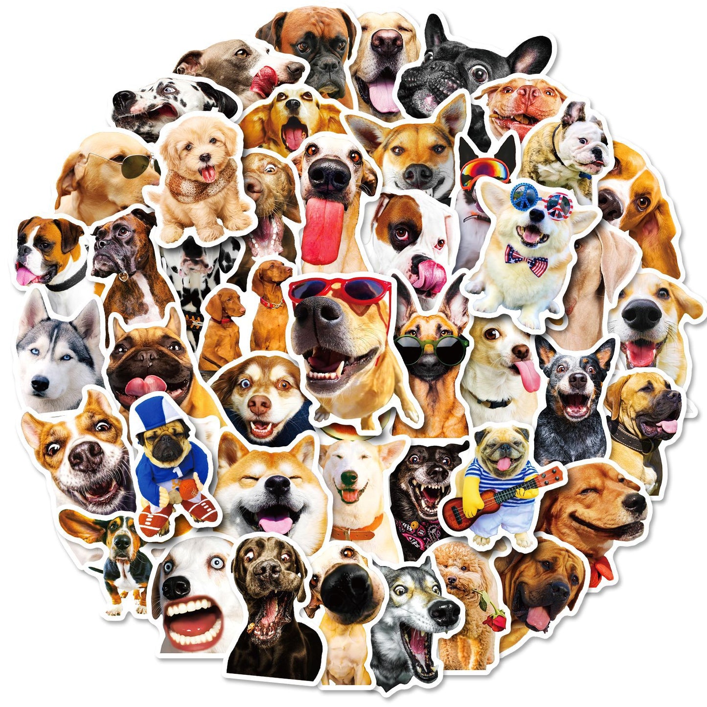 Realistic Dog Facial Expression Pack Stickers