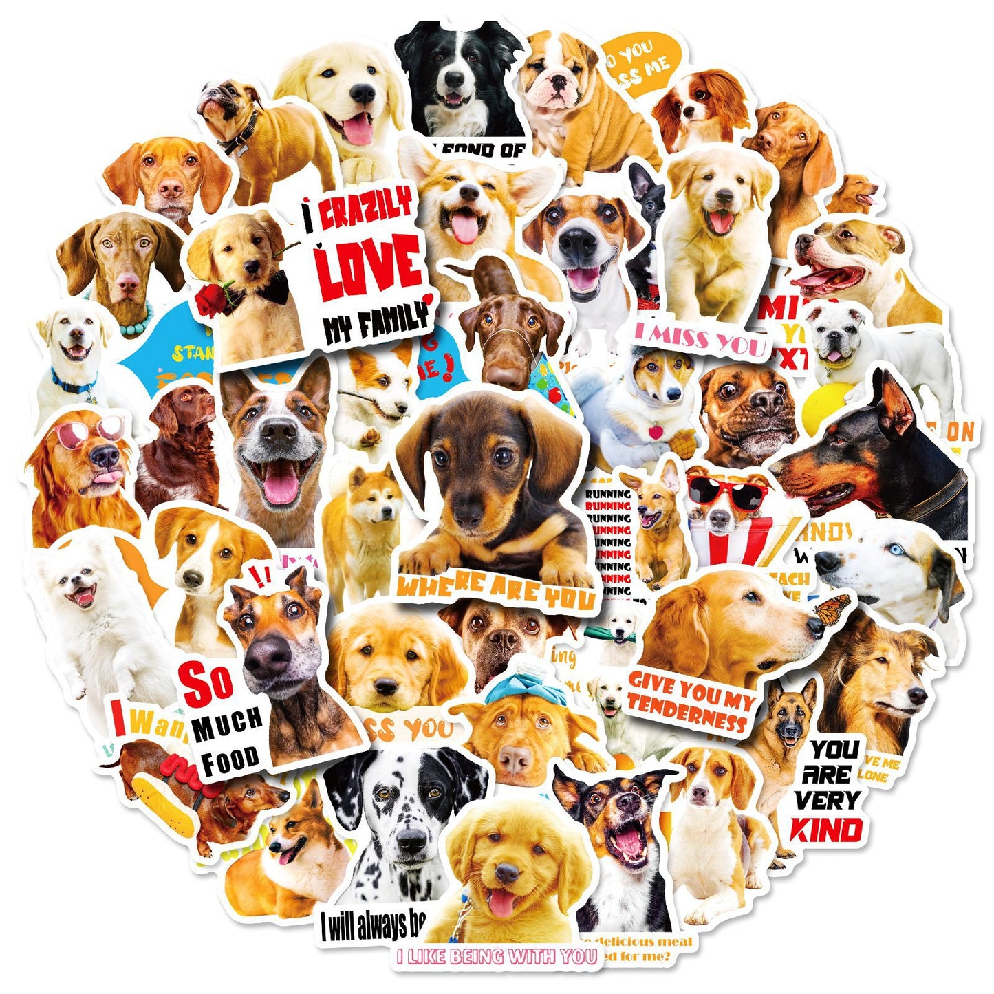 Realistic Dog Facial Expression Pack Stickers