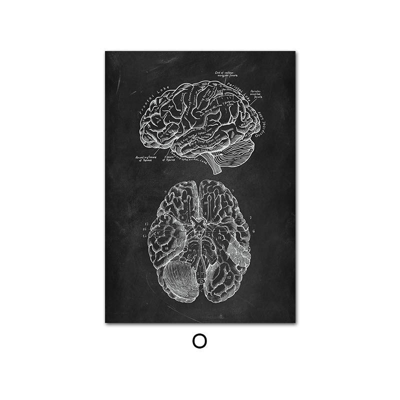 Leinwandbild des menschlichen Anatomie-Skelett-Organsystems