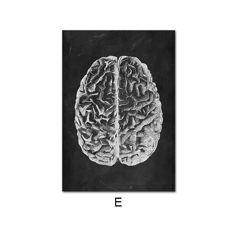 Leinwandbild des menschlichen Anatomie-Skelett-Organsystems