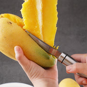 Edelstahl Mango Entkerner Multifunktionsschneider