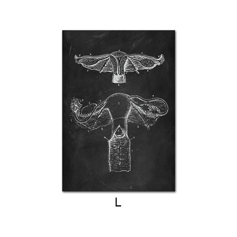 Leinwandbild des menschlichen Anatomie-Skelett-Organsystems