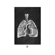 Leinwandbild des menschlichen Anatomie-Skelett-Organsystems